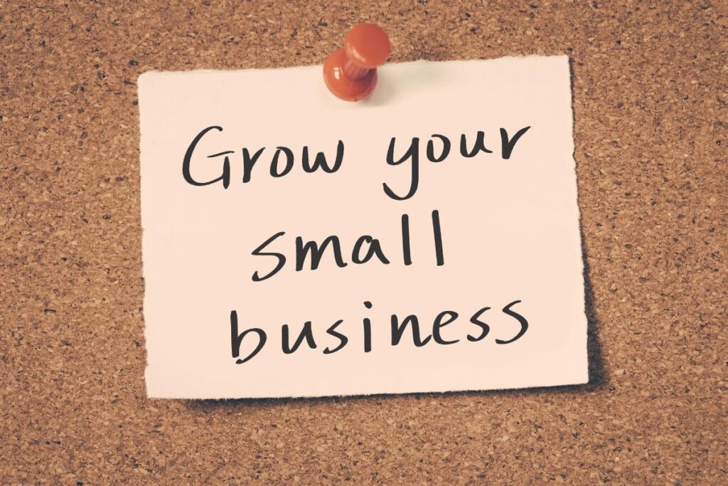 How This Small Business Grew from $0 to $10,000/Month Using SEO