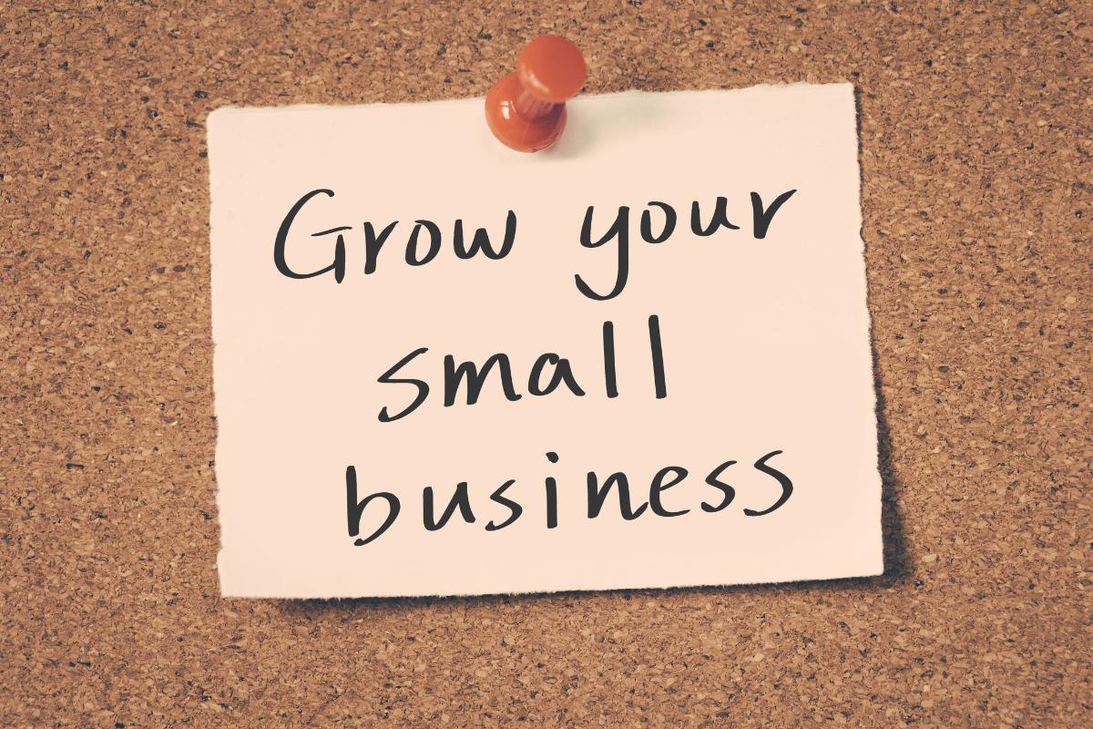 How This Small Business Grew from $0 to $10,000/Month Using SEO