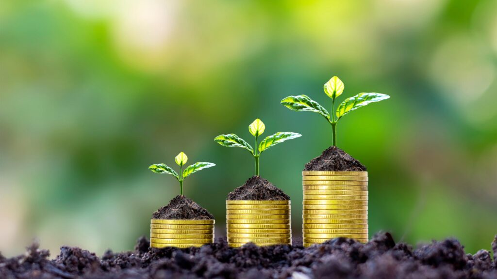 Financial Planner
