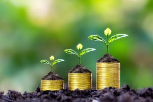Financial Planner