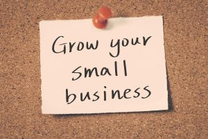 How This Small Business Grew from $0 to $10,000/Month Using SEO