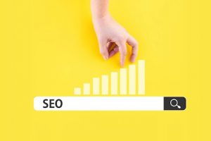 Search Engine Optimization (SEO)
