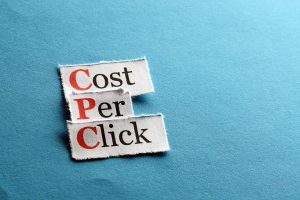 Use High CPC Niches – Digital Marketing is a High-Paying Niche. More US Visitors = More Earnings!